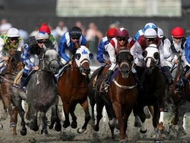 http://betting.betfair.com/horse-racing/Dubai%20packed%20field.jpg